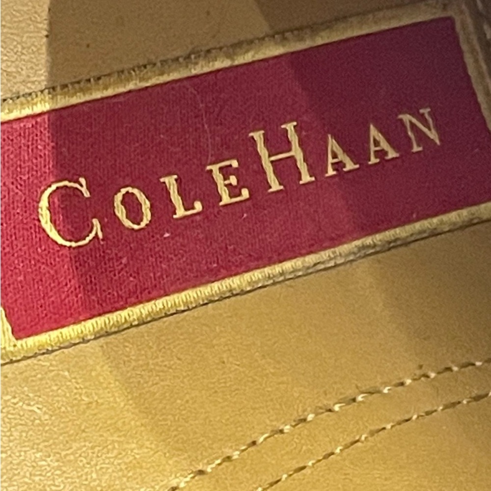 These are a pair of men’s black Cole Haan dress shoes